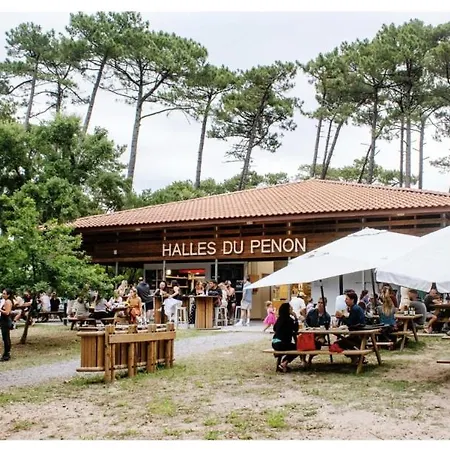 Le Delice Des Dunes Apartment *